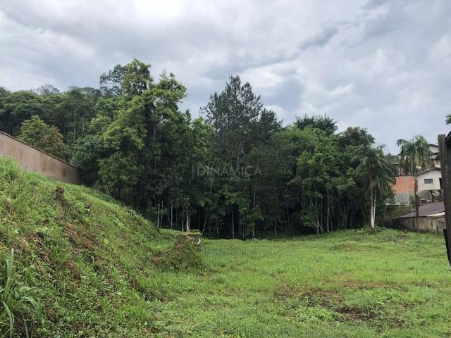 Terreno / Lote para Venda em Blumenau/SC Velha Central