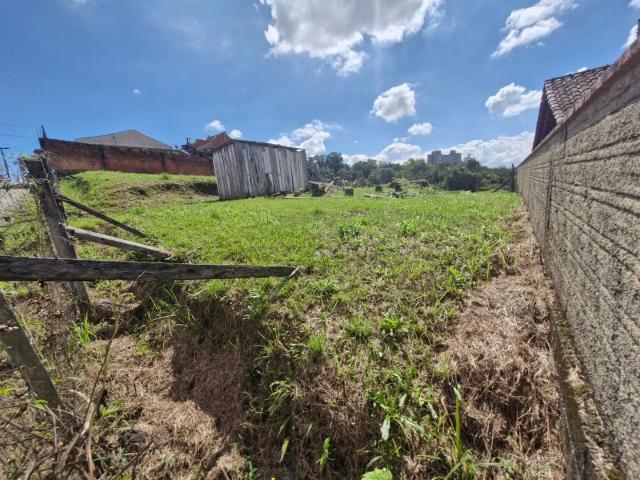Terreno / Lote para Venda em Blumenau/SC Velha Central