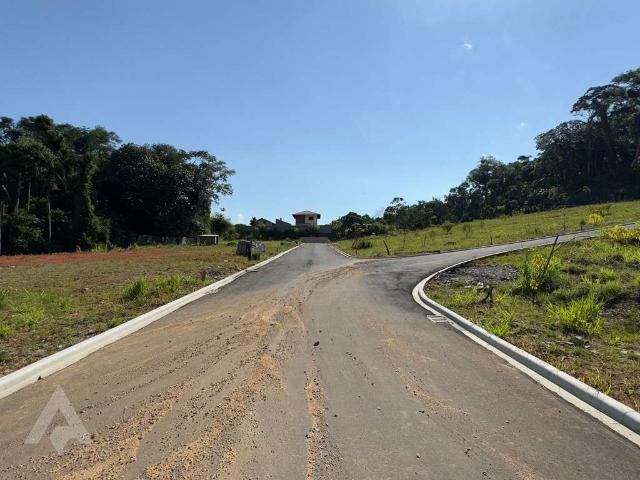 Terreno / Lote para Venda em Blumenau/SC Velha Central