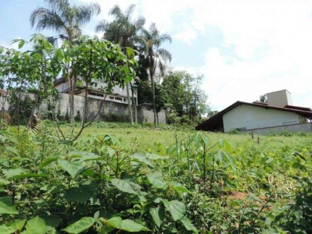 Terreno / Lote para Venda em Blumenau/SC Velha Central