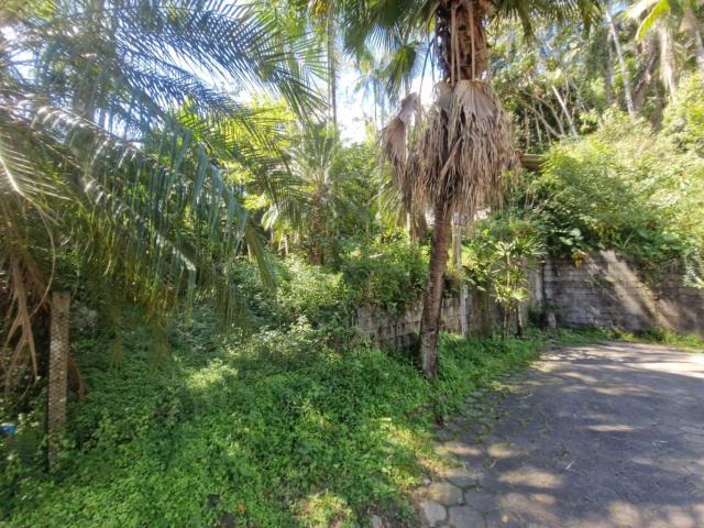 Terreno / Lote para Venda em Blumenau/SC Velha Central