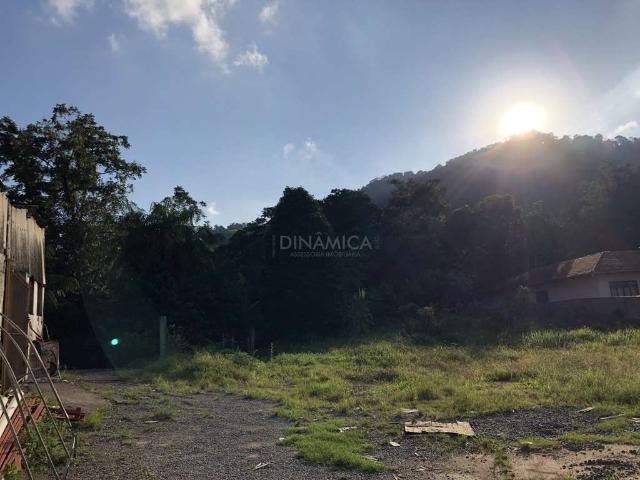 Terreno / Lote para Venda em Blumenau/SC Velha Central