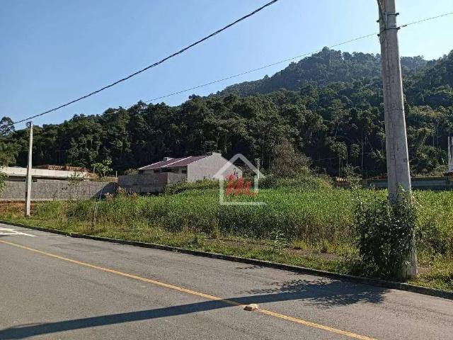 Terreno / Lote para Venda em Blumenau/SC Velha Central