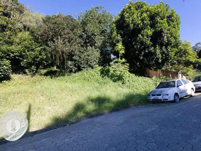 Terreno / Lote para Venda em Blumenau/SC Velha Central
