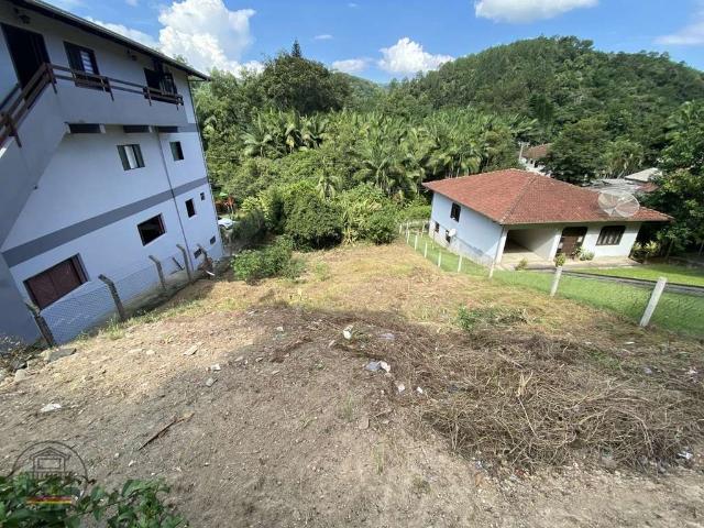 Terreno / Lote para Venda em Blumenau/SC Velha Grande