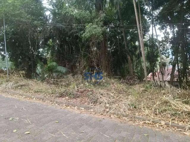 Terreno / Lote para Venda em Blumenau/SC Velha