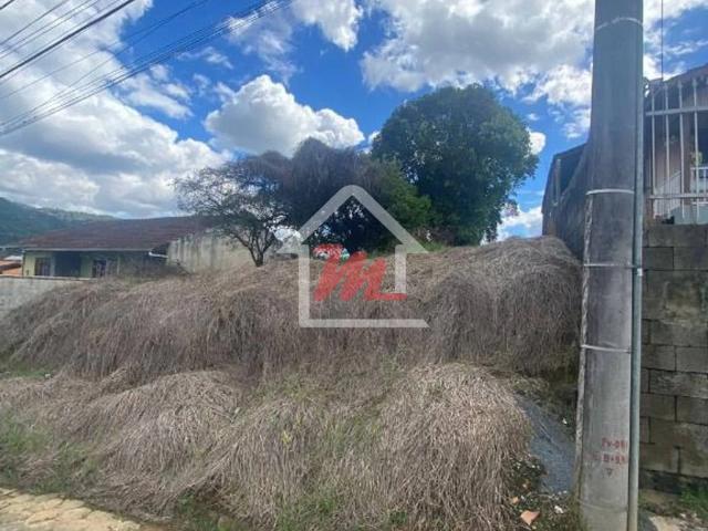 Terreno / Lote para Venda em Blumenau/SC Velha
