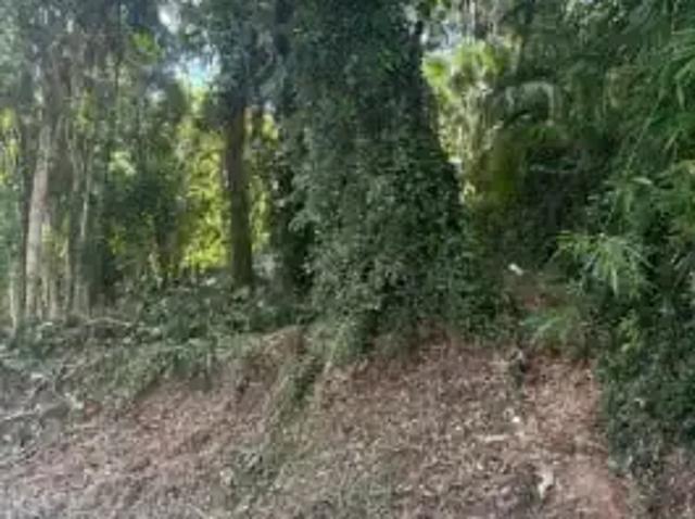 Terreno / Lote para Venda em Blumenau/SC Velha