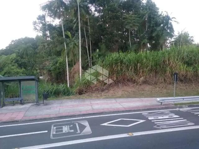 Terreno / Lote para Venda em Blumenau/SC Velha