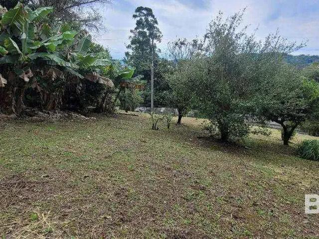Terreno / Lote para Venda em Blumenau/SC Velha