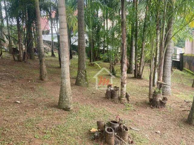 Terreno / Lote para Venda em Blumenau/SC Velha