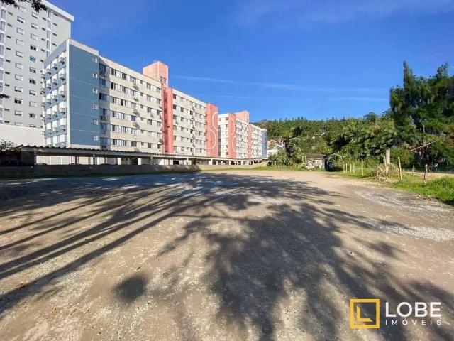 Terreno / Lote para Venda em Blumenau/SC Velha