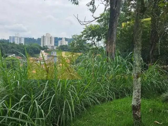 Terreno / Lote para Venda em Blumenau/SC Velha