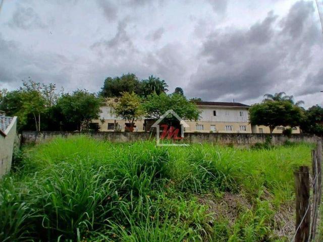 Terreno / Lote para Venda em Blumenau/SC Velha