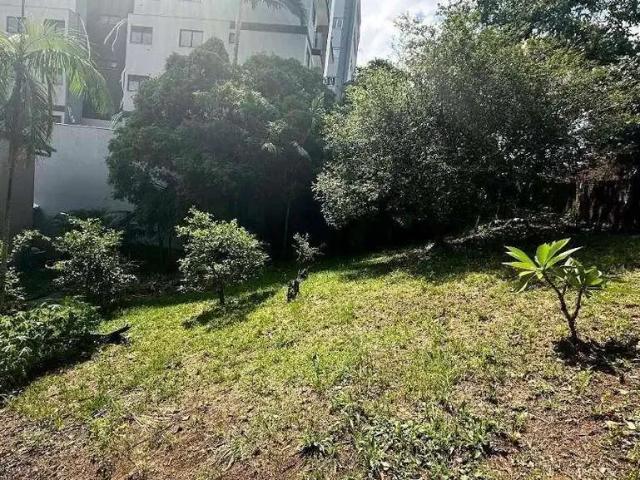 Terreno / Lote para Venda em Blumenau/SC Velha