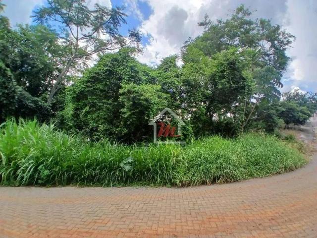 Terreno / Lote para Venda em Blumenau/SC Velha