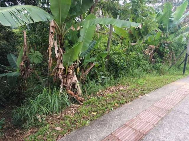 Terreno / Lote para Venda em Blumenau/SC Velha