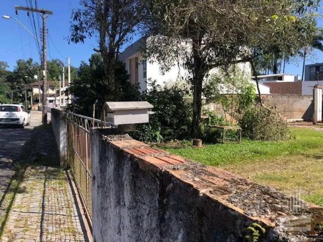 Terreno / Lote para Venda em Blumenau/SC Velha