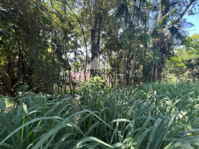 Terreno / Lote para Venda em Blumenau/SC Velha