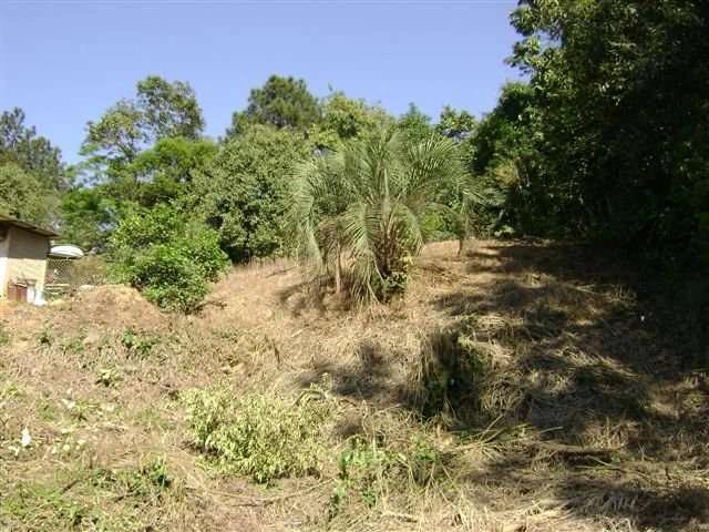 Terreno / Lote para Venda em Blumenau/SC Velha