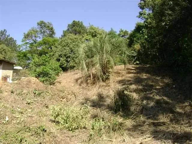 Terreno / Lote para Venda em Blumenau/SC Velha