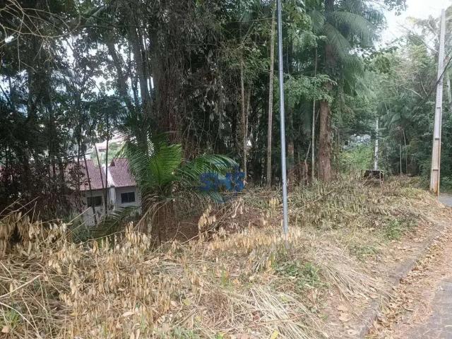 Terreno / Lote para Venda em Blumenau/SC Velha