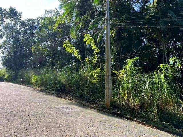 Terreno / Lote para Venda em Blumenau/SC Velha