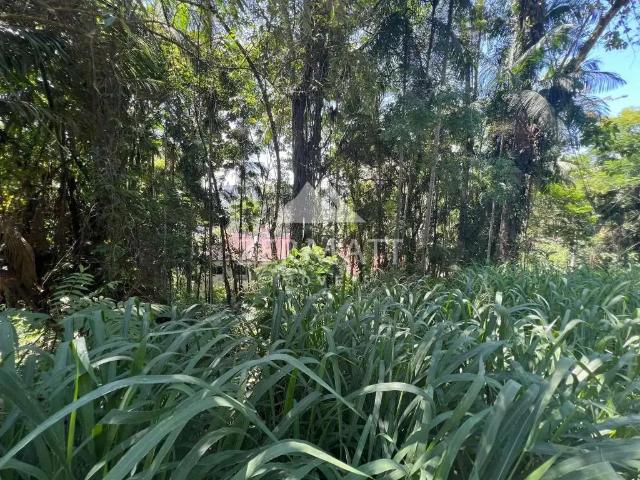Terreno / Lote para Venda em Blumenau/SC Velha