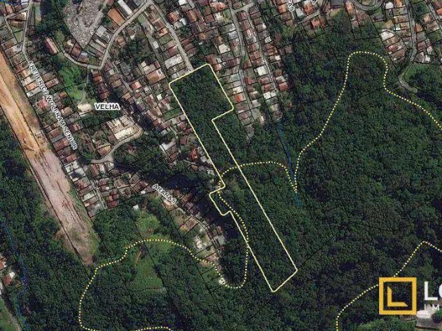 Terreno / Lote para Venda em Blumenau/SC Velha