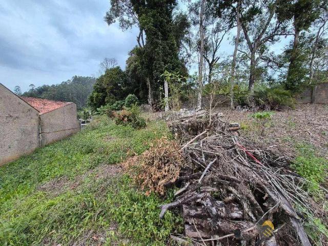 Terreno / Lote para Venda em Blumenau/SC Velha