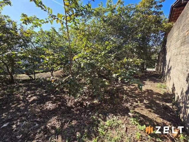 Terreno / Lote para Venda em Blumenau/SC Velha