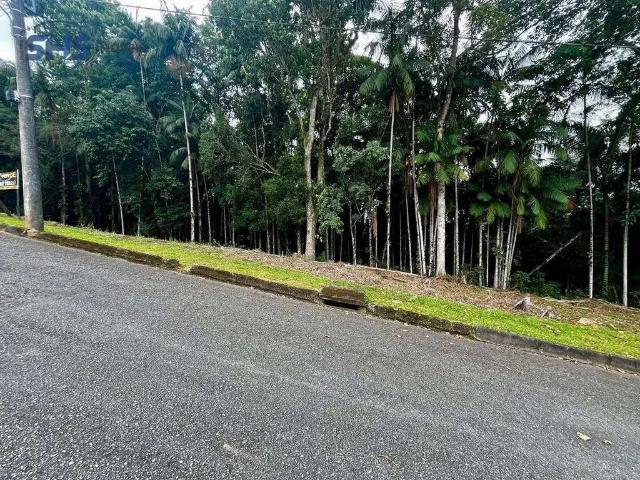 Terreno / Lote para Venda em Blumenau/SC Velha