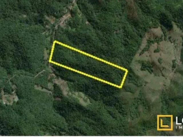 Terreno / Lote para Venda em Blumenau/SC Velha