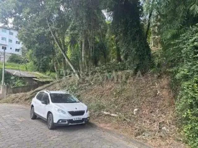 Terreno / Lote para Venda em Blumenau/SC Velha