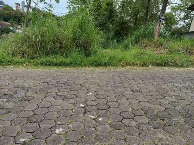Terreno / Lote para Venda em Blumenau/SC Velha