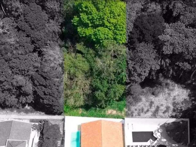 Terreno / Lote para Venda em Blumenau/SC Velha