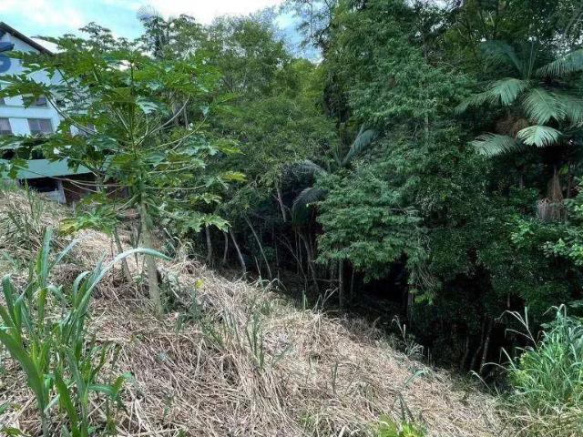 Terreno / Lote para Venda em Blumenau/SC Vila Formosa