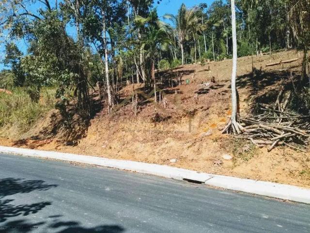 Terreno / Lote para Venda em Blumenau/SC Vila Itoupava