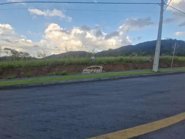 Terreno / Lote para Venda em Blumenau/SC Vila Itoupava