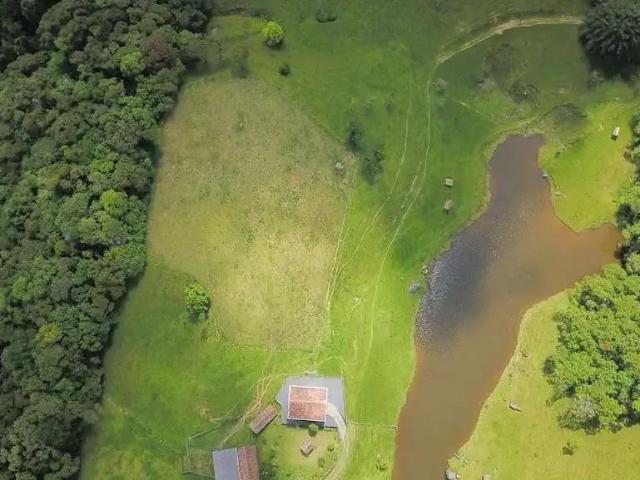 Terreno / Lote para Venda em Blumenau/SC Vila Itoupava