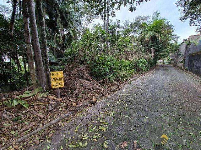 Terreno / Lote para Venda em Blumenau/SC Vila Nova