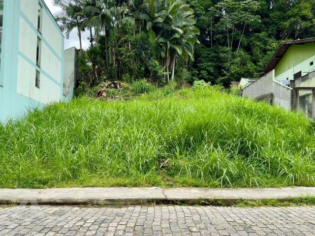 Terreno / Lote para Venda em Blumenau/SC Vila Nova
