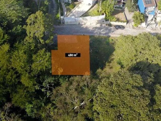 Terreno / Lote para Venda em Blumenau/SC Vila Nova