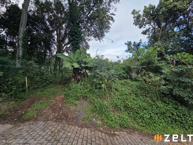 Terreno / Lote para Venda em Blumenau/SC Vila Nova