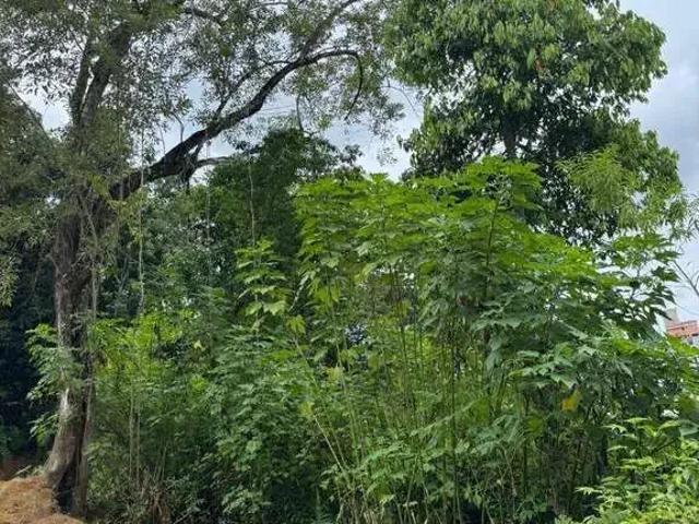 Terreno / Lote para Venda em Blumenau/SC Vila Nova