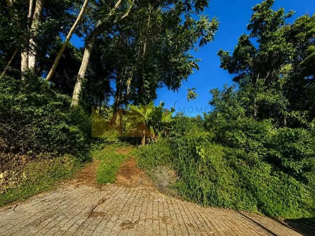 Terreno / Lote para Venda em Blumenau/SC Vila Nova