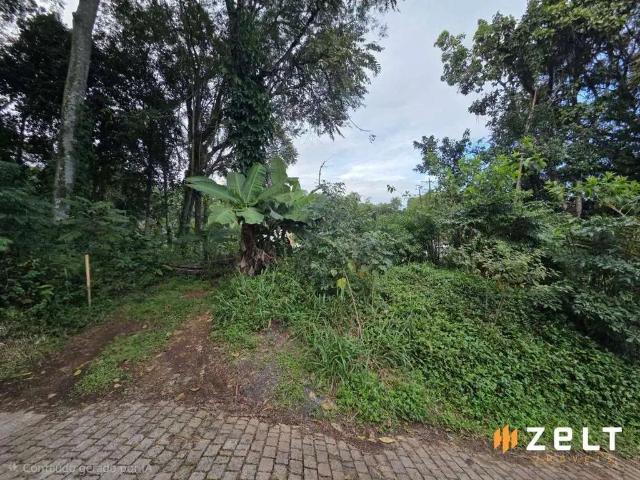 Terreno / Lote para Venda em Blumenau/SC Vila Nova