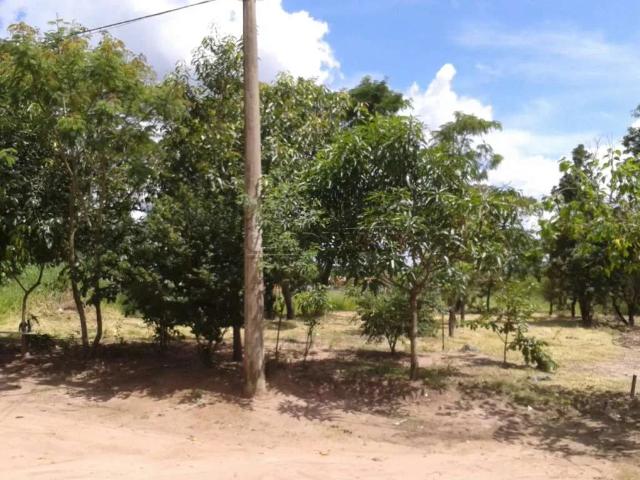 Terreno / Lote para Venda em Brotas/SP Lagoa Dourada