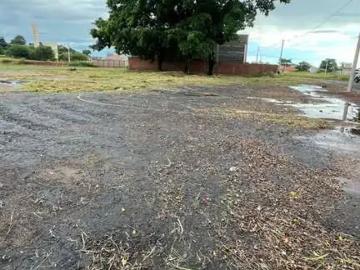 Terreno / Lote para Venda em Brotas/SP Santa Cecilia