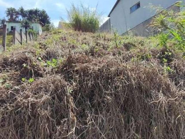 Terreno / Lote para Venda em Bragança Paulista/SP Jardim América